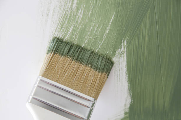 Environmental Consulting for Mold Prevention in Hyde, PA